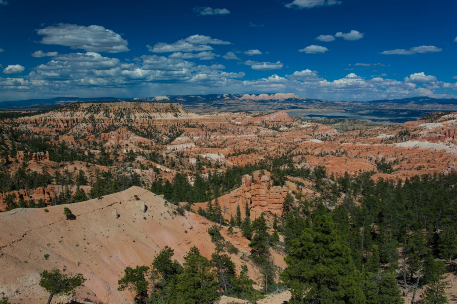 USA_Bryce Canyon_008